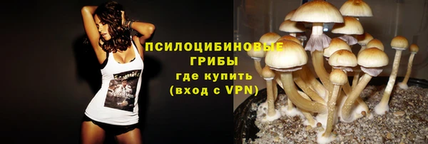 ECSTASY Вяземский