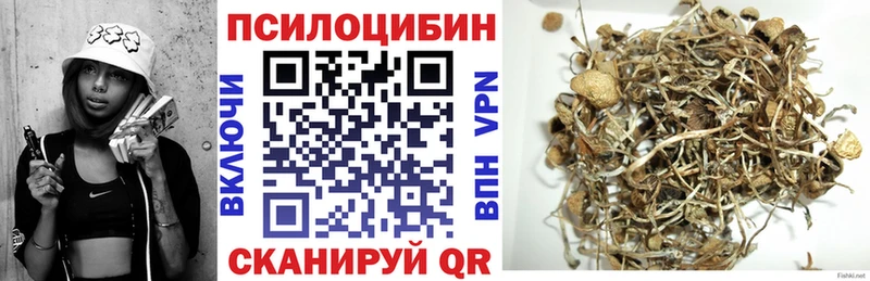 Псилоцибиновые грибы Magic Shrooms Гдов